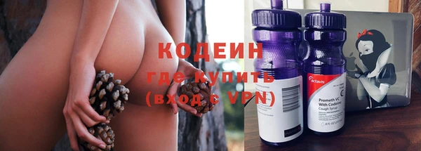 мяу мяу мука Кострома