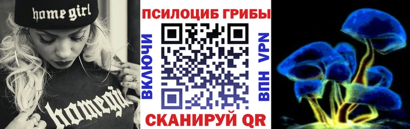 Псилоцибиновые грибы Psilocybe  блэк спрут tor  Сибай 