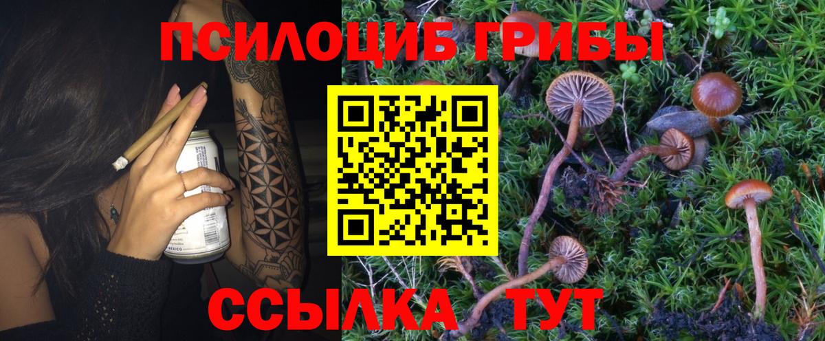 Псилоцибиновые грибы мухоморы  Галлюциногенные грибы мицелий  Вход с VPN  Сибай 