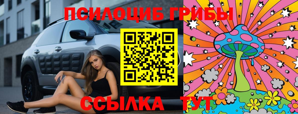 Галлюциногенные грибы Psilocybe Сибай