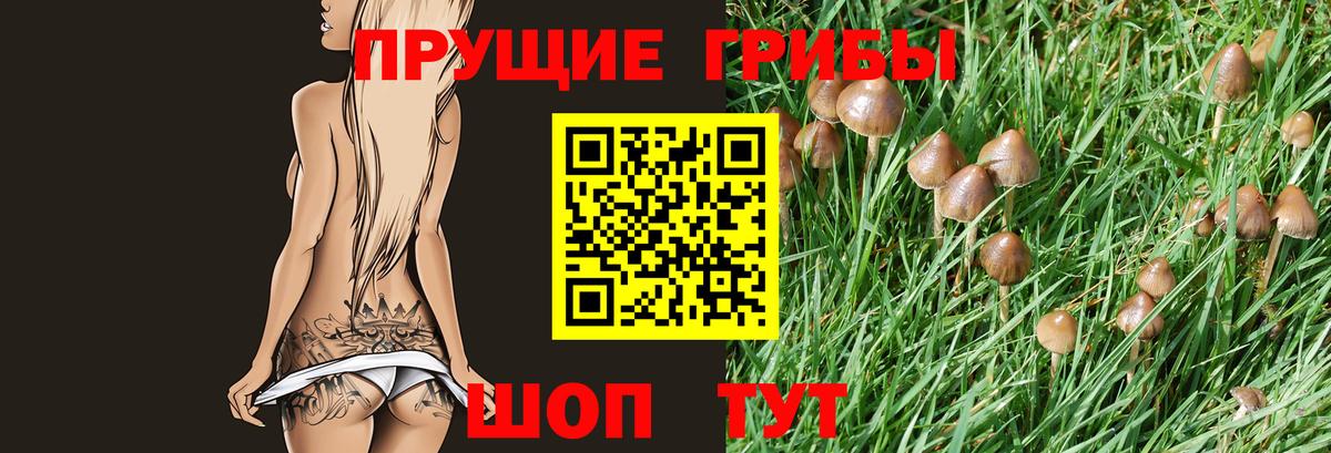 Галлюциногенные грибы GOLDEN TEACHER Сибай