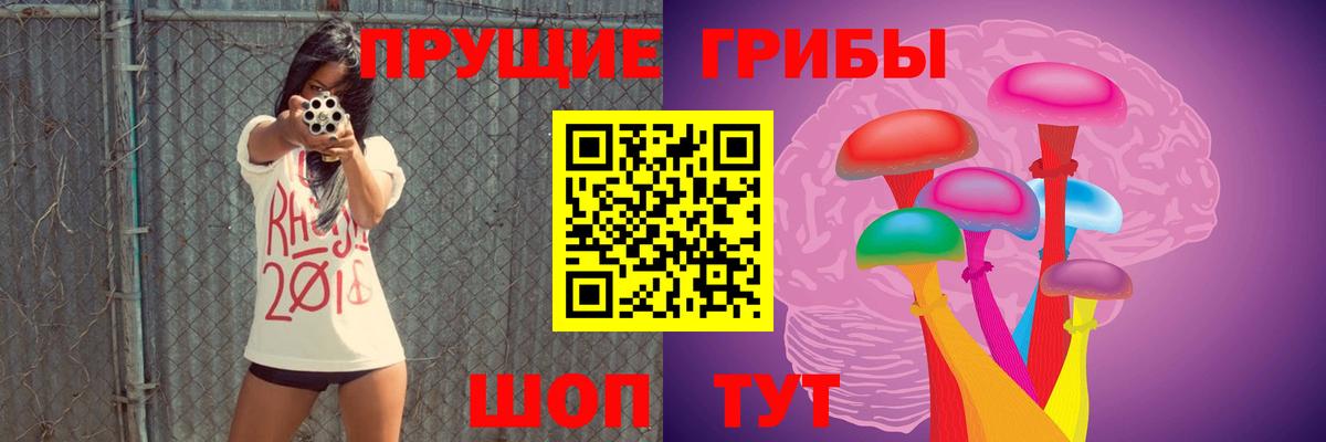 Псилоцибиновые грибы Cubensis  Галлюциногенные грибы мицелий  Сибай 